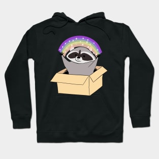 Funny Raccoon in a box with a rainbow Hoodie